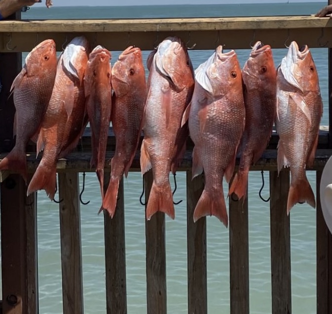 Fishing (deep sea / bay)