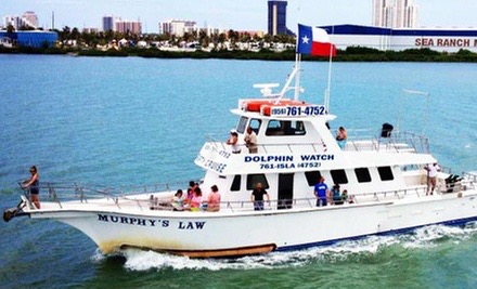 Dolphin-watching cruises